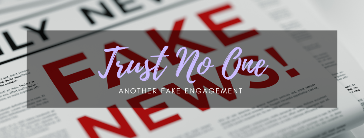 Trust No One: Another Fake Engagement
